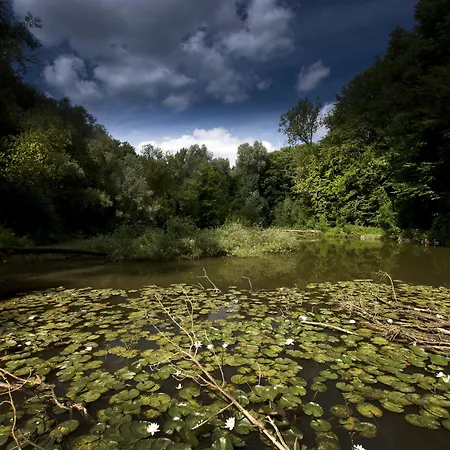 Winselerhof By Flow 4* Landgraaf