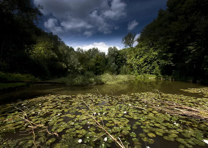 Winselerhof By Flow 4* لاندخاف