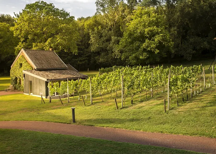 Winselerhof By Flow 4* Landgraaf