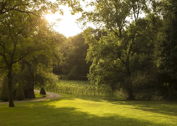 Winselerhof By Flow Hotel Landgraaf