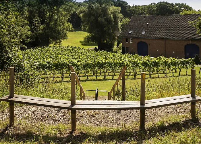 Winselerhof By Flow Отель 4*